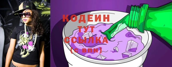дурь Арсеньев