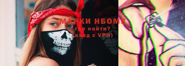 стаф Аркадак