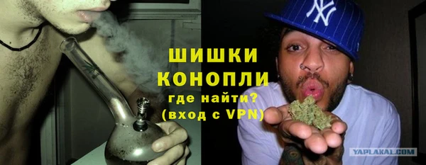 стаф Аркадак