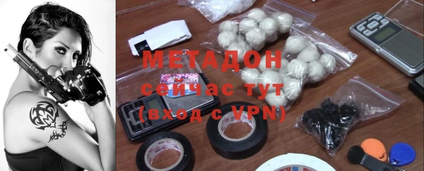 стаф Аркадак