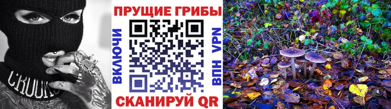 Псилоцибиновые грибы Magic Shrooms  Губкинский 